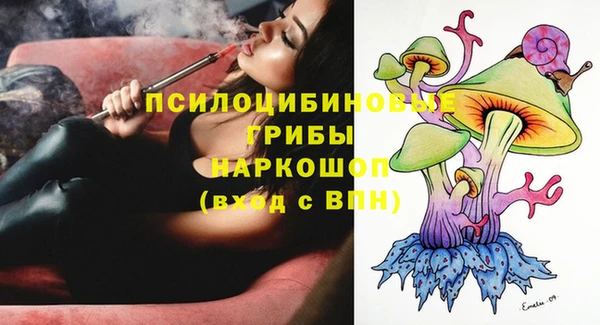 винт Аркадак
