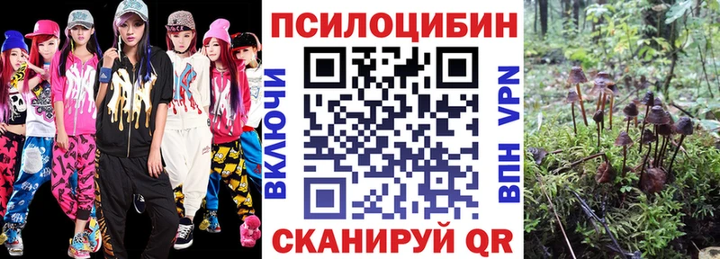 площадка Telegram  Прохладный  Галлюциногенные грибы ЛСД  что такое  
